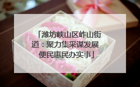 潍坊峡山区岞山街道：聚力集采谋发展 便民惠民办实事