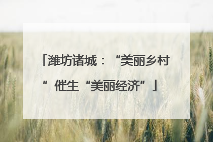 潍坊诸城：“美丽乡村”催生“美丽经济”
