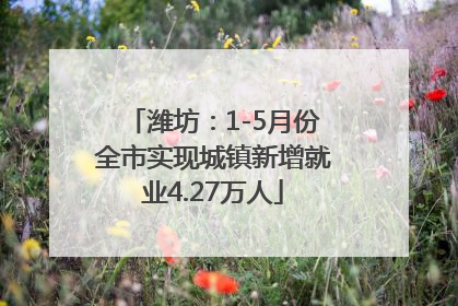 潍坊：1-5月份全市实现城镇新增就业4.27万人
