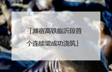 潍宿高铁临沂段首个连续梁成功浇筑