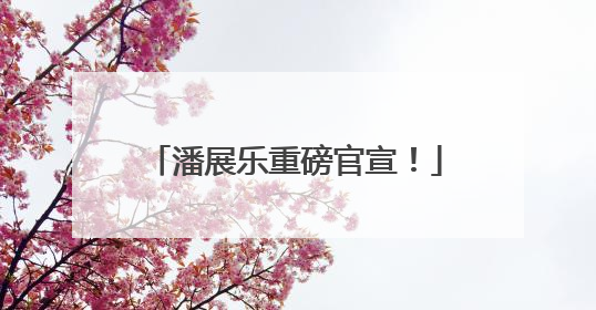 潘展乐重磅官宣！
