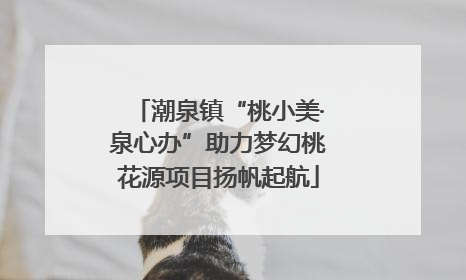 潮泉镇“桃小美·泉心办”助力梦幻桃花源项目扬帆起航