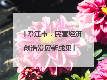 澄江市：民营经济创造发展新成果