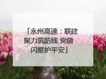 永州高速：联建聚力筑防线 党徽闪耀护平安