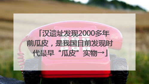 汉遗址发现2000多年前瓜皮，是我国目前发现时代最早“瓜皮”实物→