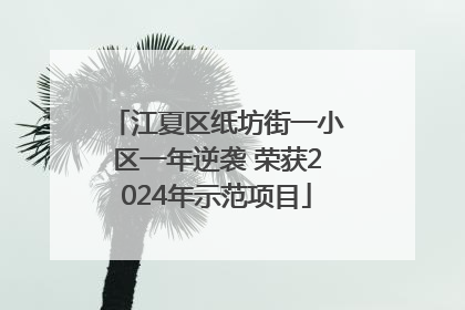 江夏区纸坊街一小区一年逆袭 荣获2024年示范项目