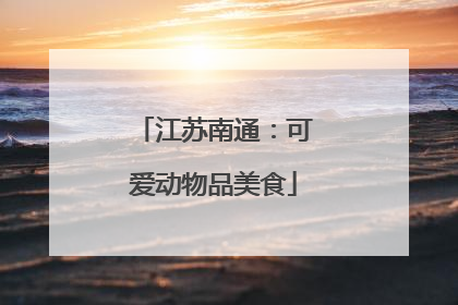 江苏南通：可爱动物品美食