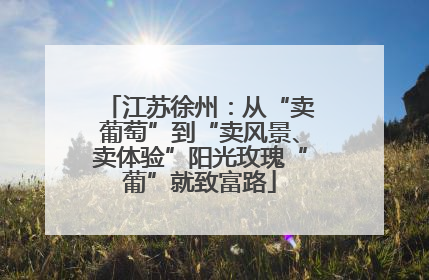 江苏徐州：从“卖葡萄”到“卖风景、卖体验”阳光玫瑰“葡”就致富路