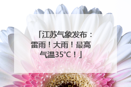 江苏气象发布：雷雨！大雨！最高气温35℃！