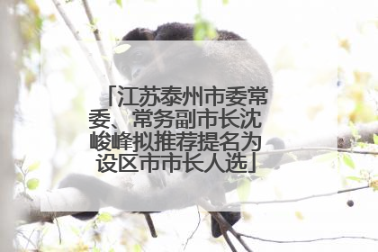 江苏泰州市委常委、常务副市长沈峻峰拟推荐提名为设区市市长人选