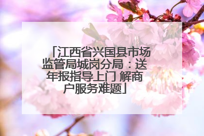 江西省兴国县市场监管局城岗分局：送年报指导上门 解商户服务难题
