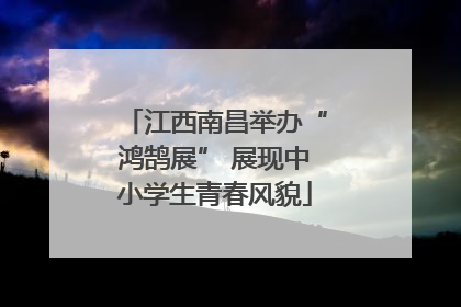 江西南昌举办“鸿鹄展” 展现中小学生青春风貌