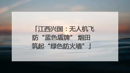 江西兴国：无人机飞防“蓝色盾牌” 烟田筑起“绿色防火墙”