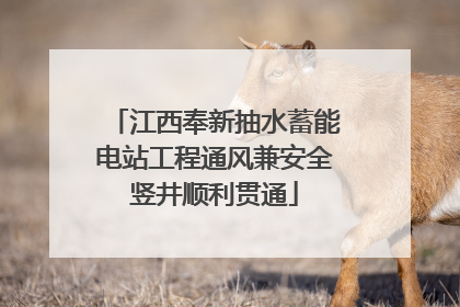 江西奉新抽水蓄能电站工程通风兼安全竖井顺利贯通
