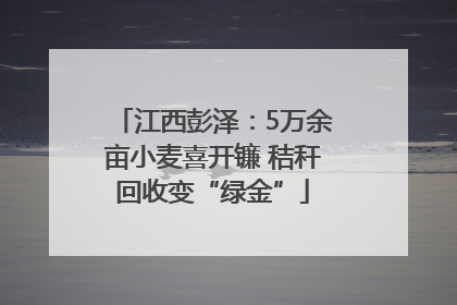 江西彭泽：5万余亩小麦喜开镰 秸秆回收变“绿金”