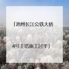 池州长江公铁大桥4号主塔施工过半