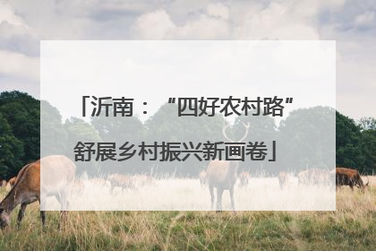 沂南：“四好农村路”舒展乡村振兴新画卷