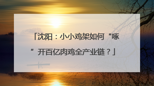 沈阳：小小鸡架如何“啄”开百亿肉鸡全产业链？