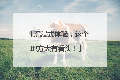 沉浸式体验，这个地方大有看头！