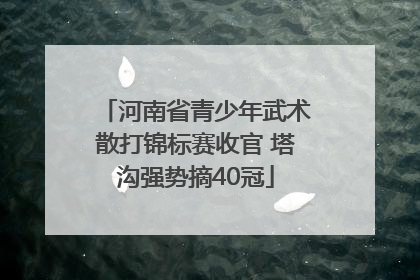 河南省青少年武术散打锦标赛收官 塔沟强势摘40冠