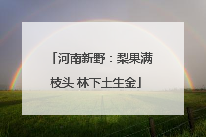 河南新野：梨果满枝头 林下土生金