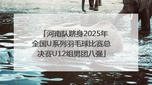 河南队跻身2025年全国U系列羽毛球比赛总决赛U12组男团八强