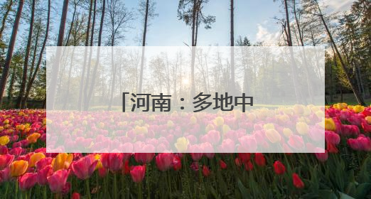 河南：多地中小学期末考试，时间公布！