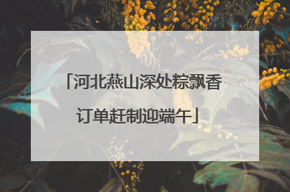 河北燕山深处粽飘香 订单赶制迎端午