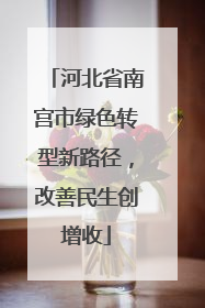 河北省南宫市绿色转型新路径，改善民生创增收