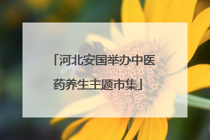 河北安国举办中医药养生主题市集