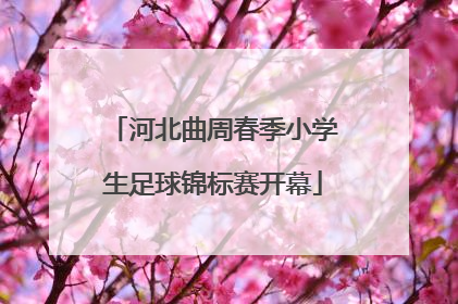 河北曲周春季小学生足球锦标赛开幕