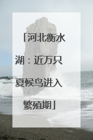 河北衡水湖：近万只夏候鸟进入繁殖期