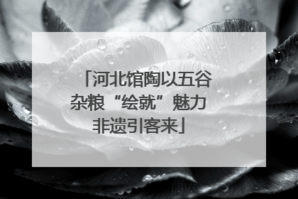河北馆陶以五谷杂粮“绘就”魅力非遗引客来