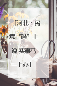 河北：民意“码”上说 实事马上办
