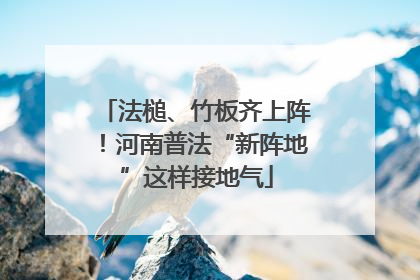 法槌、竹板齐上阵！河南普法“新阵地”这样接地气