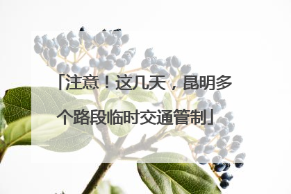 注意！这几天，昆明多个路段临时交通管制