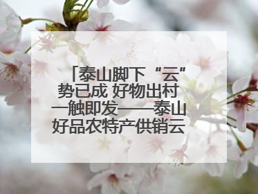 泰山脚下“云”势已成 好物出村一触即发——泰山好品农特产供销云仓即将启用