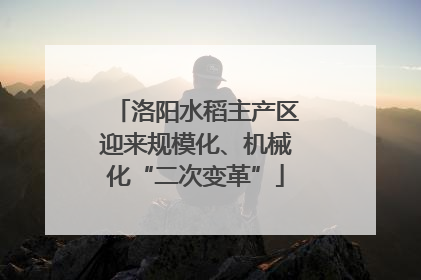 洛阳水稻主产区迎来规模化、机械化“二次变革”