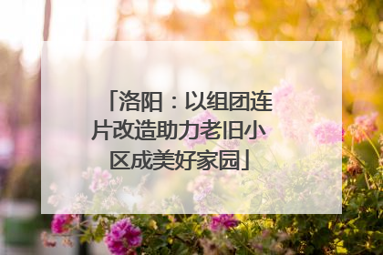 洛阳：以组团连片改造助力老旧小区成美好家园