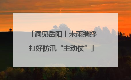 洞见岳阳丨未雨绸缪 打好防汛“主动仗”