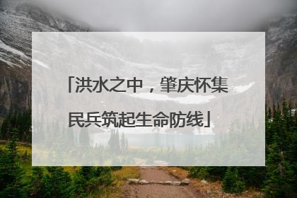 洪水之中，肇庆怀集民兵筑起生命防线