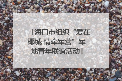 海口市组织“爱在椰城 情牵军营”军地青年联谊活动
