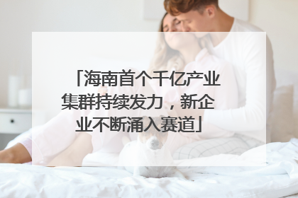 海南首个千亿产业集群持续发力，新企业不断涌入赛道