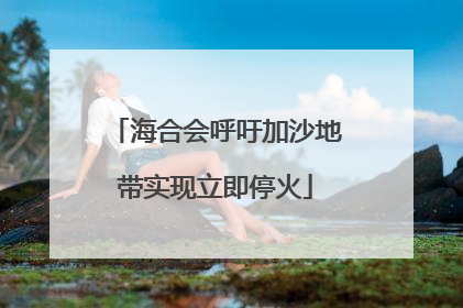 海合会呼吁加沙地带实现立即停火