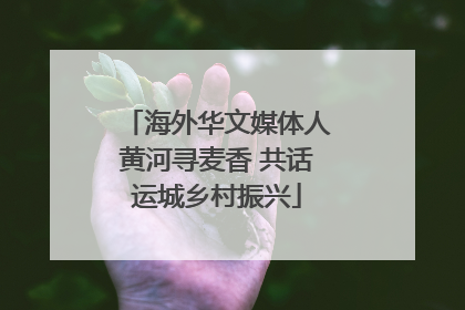 海外华文媒体人黄河寻麦香 共话运城乡村振兴