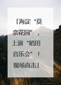 海淀“莫奈花园”，上演“稻田音乐会”！现场直击