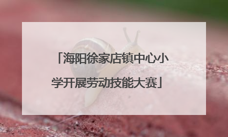 海阳徐家店镇中心小学开展劳动技能大赛