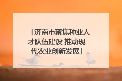 济南市聚焦种业人才队伍建设 推动现代农业创新发展