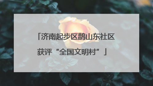 济南起步区鹊山东社区获评“全国文明村”