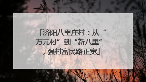 济阳八里庄村：从“万元村”到“新八里”，强村富民路正宽